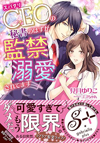 スパダリCEOの秘書のはずが監禁溺愛されてます