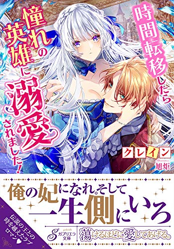 時間転移したら憧れの英雄に溺愛されました!