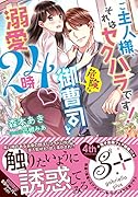 ご主人様、それはセクハラです! 危険な御曹司と溺愛24時