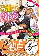イケメン石油王の溺愛 シークにプロポーズされても困ります