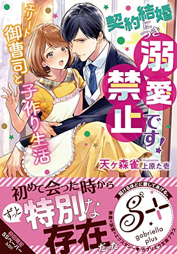 契約結婚につき溺愛禁止です! エリート御曹司と子作り生活