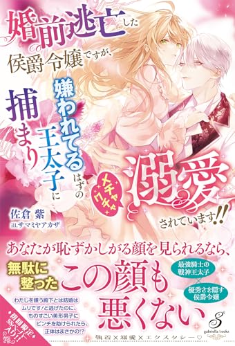 婚前逃亡した侯爵令嬢ですが、嫌われてるはずの王太子に捕まりメチャクチャ溺愛されています!!の表紙
