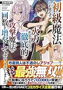 初級魔法しか使えず、火力が足りないので徹底的に攻撃魔法の回数を増やしてみることにしました