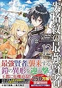 失格紋の最強賢者12 ~世界最強の賢者が更に強くなるために転生しました~