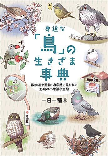 Amazonで一日一種の身近な「鳥」の生きざま事典 散歩道や通勤・通学路で見られる野鳥の不思議な生態。アマゾンならポイント還元本が多数。一日一種作品ほか、お急ぎ便対象商品は当日お届けも可能。また身近な「鳥」の生きざま事典 散歩道や通勤・通学路で見られる野鳥の不思議な生態もアマゾン配送商品なら通常配送無料。