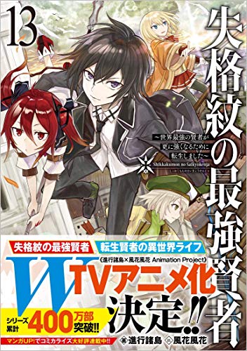 失格紋の最強賢者13 ～世界最強の賢者が更に強くなるために転生しました～