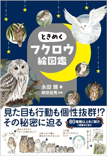 一気にわかる！池上彰の世界情勢２０１８ 国際紛争、一触即発編