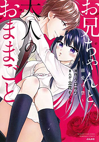 お兄ちゃんと、大人のおままごと 溺愛監禁