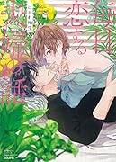 毎日恋する夫婦の話