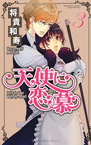 天使に恋慕 3(完)