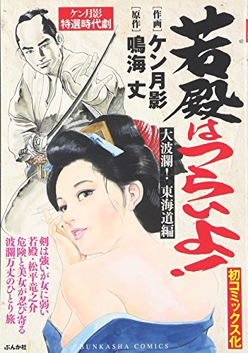 若殿はつらいよ!大波瀾!東海道編