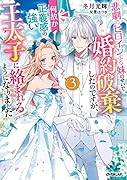 悲劇のヒロインぶる妹のせいで婚約破棄したのですが、何故か正義感の強い王太子に絡まれるようになりました 3