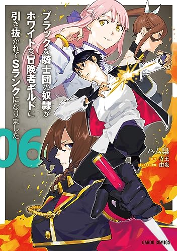 ブラックな騎士団の奴隷がホワイトな冒険者ギルドに引き抜かれてSランクになりました 6表紙画像
