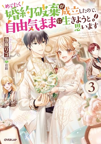 めでたく婚約破棄が成立したので、自由気ままに生きようと思います 3