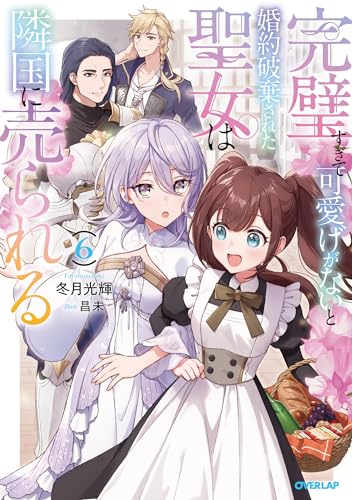 完璧すぎて可愛げがないと婚約破棄された聖女は隣国に売られる 6