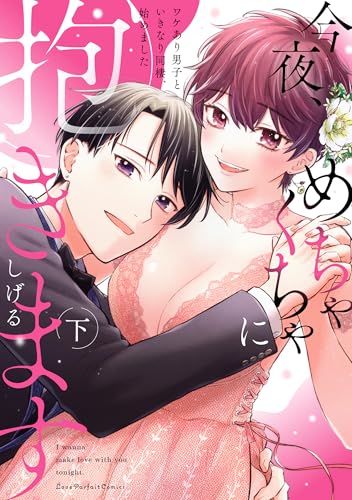今夜、めちゃくちゃに抱きます 〜ワケあり男子といきなり同棲、始めました〜 下の表紙