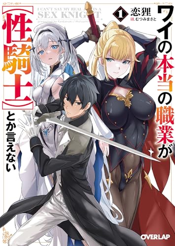 ワイの本当の職業が【性騎士】とか言えない 1