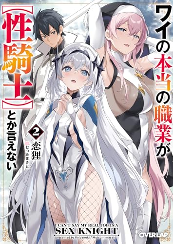 ワイの本当の職業が【性騎士】とか言えない 2