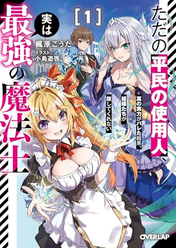 ただの平民の使用人、実は最強の魔法士 1 〜真の実力がバレた結果、姫様たちが離してくれない〜