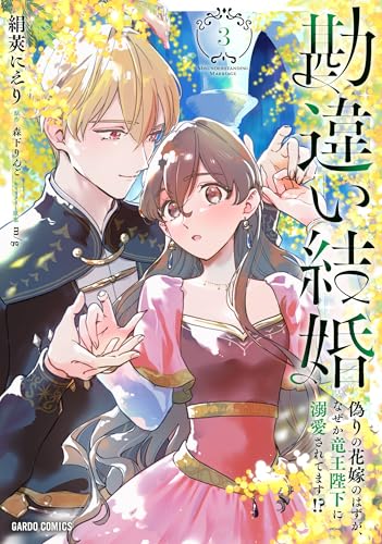勘違い結婚（3） 偽りの花嫁のはずが、なぜか竜王陛下に溺愛されてます!?
