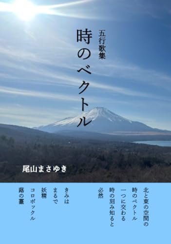   五行歌集時のベクトル 