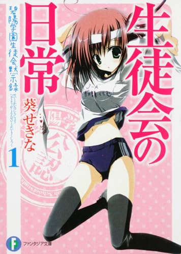 生徒会の日常 碧陽学園生徒会黙示録