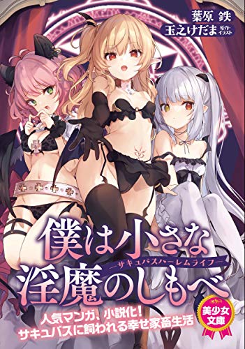 僕は小さな淫魔のしもべ―サキュバスハーレムライフ―
