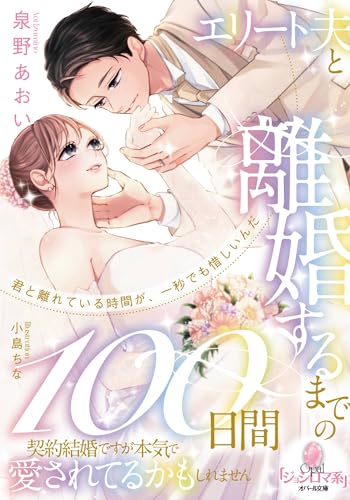エリート夫と離婚するまでの100日間 契約結婚ですが本気で愛されてるかもしれません