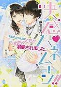 快感・ハネムーン!! 天国のような島でめちゃくちゃ溺愛されました。