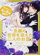 結婚までエ◯チは禁止!? 念願の初夜を迎えた二人のお話。