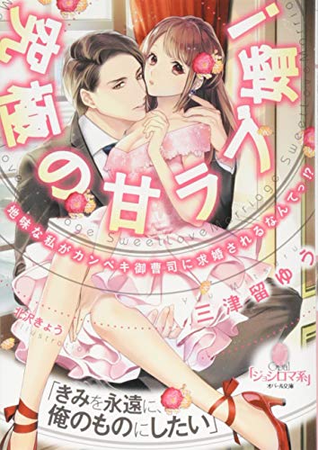 究極の甘ラブ婚! 地味な私がカンペキ御曹司に求婚されるなんてっ！？