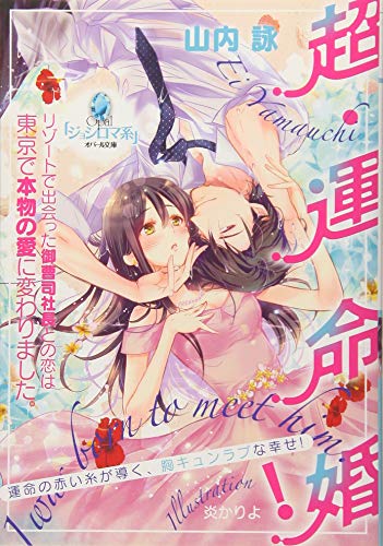 超・運命婚! リゾートで出会った御曹司社長との恋は東京で本物の愛に変わりました。