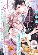 あまい、あまい新婚生活 優しい副社長の熱烈愛に溺れています