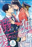 独占溺愛 エリートパイロットは身代わり妻を離さない