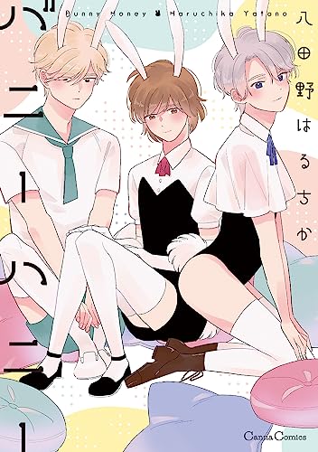 バニーハニー (仮)