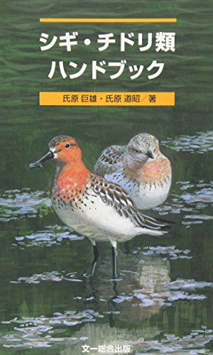 決定版 日本のシギ・チドリ類ハンドブック