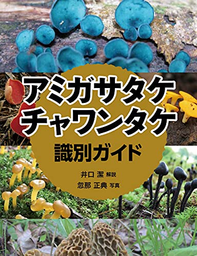 アミガサタケ・チャワンタケ識別ガイド アミガサタケ・チャワンタケ識別ガイド