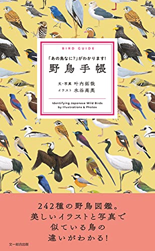 一気にわかる！池上彰の世界情勢２０１８ 国際紛争、一触即発編
