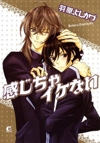 感じちゃイケない