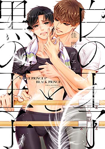 白の王子と黒の王子