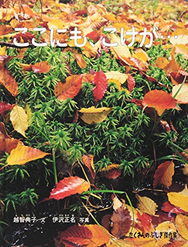一気にわかる！池上彰の世界情勢２０１８ 国際紛争、一触即発編
