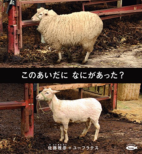 Amazonで佐藤 雅彦, ユーフラテスのこのあいだに なにがあった? (かがくのとも絵本)。アマゾンならポイント還元本が多数。佐藤 雅彦, ユーフラテス作品ほか、お急ぎ便対象商品は当日お届けも可能。またこのあいだに なにがあった? (かがくのとも絵本)もアマゾン配送商品なら通常配送無料。