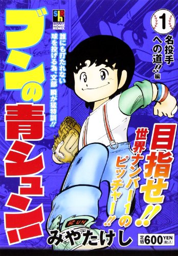 ブンの青シュン!の表紙