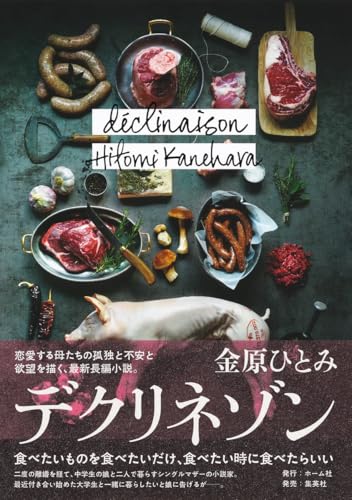金原ひとみ『デクリネゾン = déclinaison』表紙