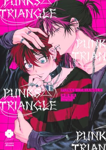PUNKS△TRIANGLEの表紙