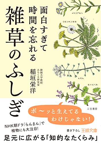 面白すぎて時間を忘れる雑草のふしぎ 足元に広がる「知的なたくらみ」