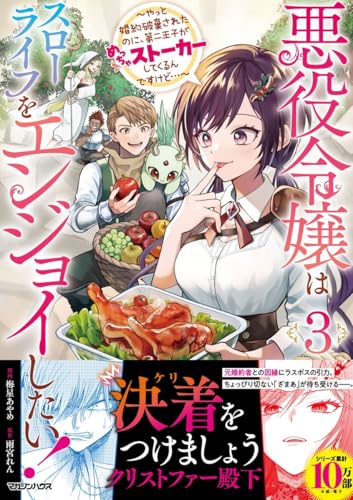 悪役令嬢はスローライフをエンジョイしたい！～やっと婚約破棄されたのに、第二王子がめっちゃストーカーしてくるんですけど…～ 3