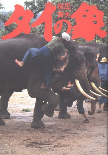 タイの象
