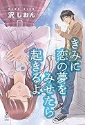 きみに恋の夢をみせたら起きるよ【POD】