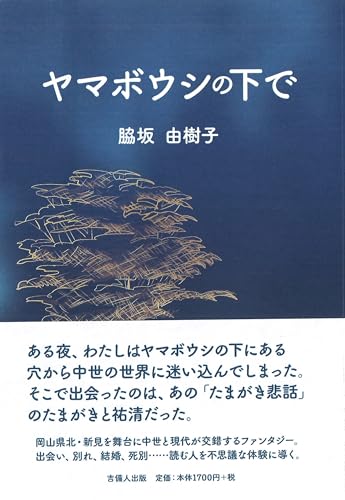 ヤマボウシの下で